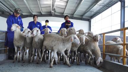 图片 2.png 图片 2.png